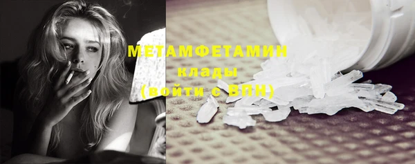 индика Бородино